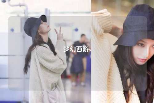 梦幻西游s